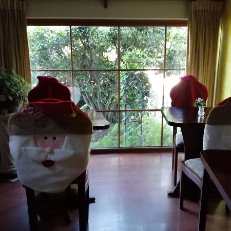 Posada Selva Negra テムコ エクステリア 写真