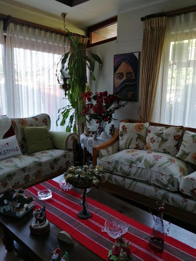 Posada Selva Negra テムコ エクステリア 写真