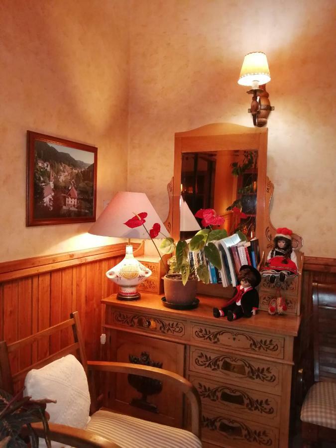 Posada Selva Negra テムコ エクステリア 写真